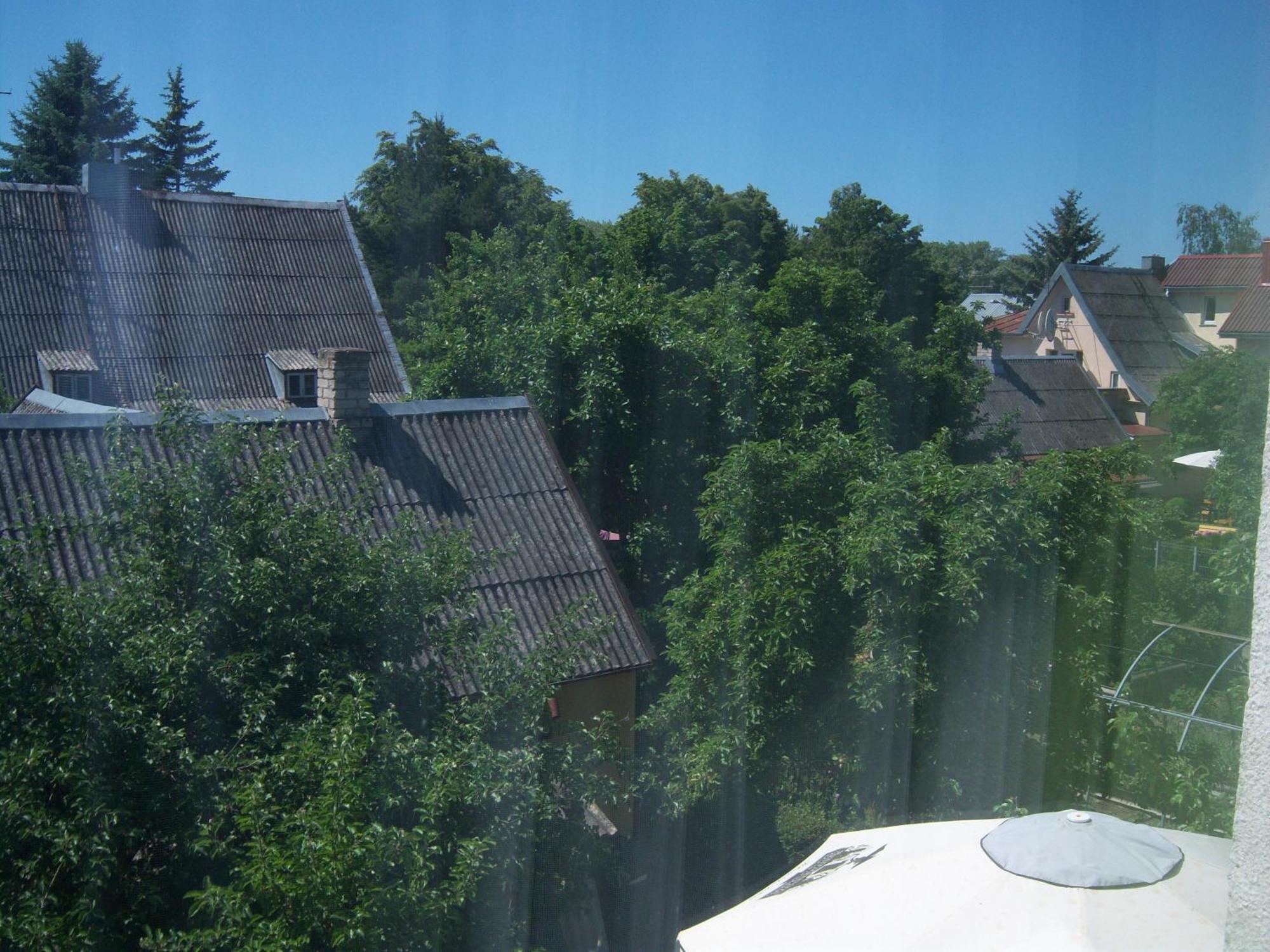 Info Hotel Apartments Palanga Bagian luar foto